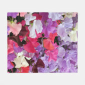 Blumen der süßen Erbse in der Blüte Fleecedecke (Vorderseite (Horizontal))