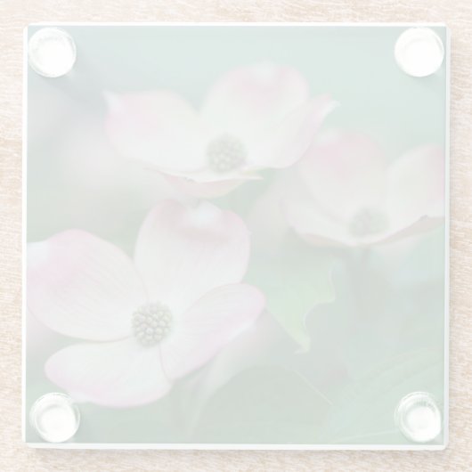 Blumen | Dogwood-Blüten Glasuntersetzer (Rückseite)