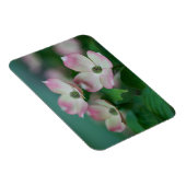 Blumen | Dogwood-Blüten Magnet (Rechte Seite)
