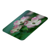 Blumen | Dogwood-Blüten Magnet (Linke Seite)
