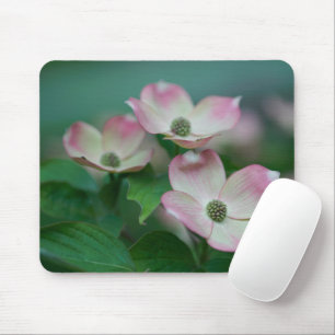 Blumen Dogwood-Blüten Mousepad