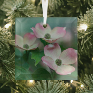 Blumen Dogwood-Blüten Ornament Aus Glas