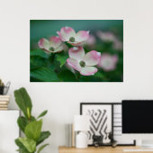 Blumen | Dogwood-Blüten Poster (Heimbüro)