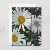 Blumen durch den See - Gänseblümchen Postkarte (Vorne/Hinten)