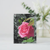 Blumen durch den See - Rosa Postkarte (Stehend Vorderseite)