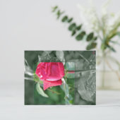 Blumen durch den See - Rosen-Knospe Postkarte (Stehend Vorderseite)