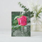 Blumen durch den See - Rosen-Knospe Postkarte (Stehend Vorderseite)