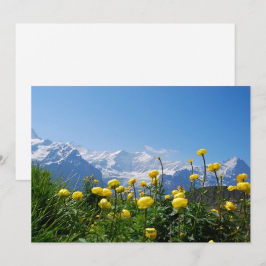 Blumen | Eiger Monch Schweizer Alpen Dankeskarte (Vorne/Hinten)