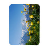 Blumen | Eiger Monch Schweizer Alpen Magnet (Vertikal)