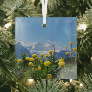 Blumen Eiger Monch Schweizer Alpen Ornament Aus Glas
