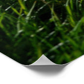 Blumen | Eiger Monch Schweizer Alpen Poster (Ecke)