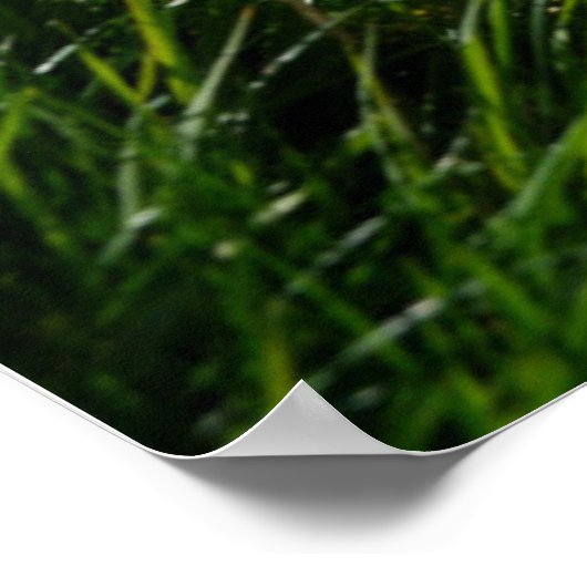 Blumen | Eiger Monch Schweizer Alpen Poster (Ecke)