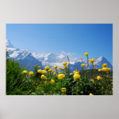 Blumen | Eiger Monch Schweizer Alpen Poster (Vorne)
