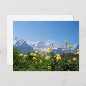 Blumen | Eiger Monch Schweizer Alpen Postkarte (Vorne/Hinten)