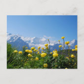 Blumen | Eiger Monch Schweizer Alpen Postkarte (Vorderseite)