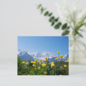 Blumen | Eiger Monch Schweizer Alpen Postkarte (Stehend Vorderseite)