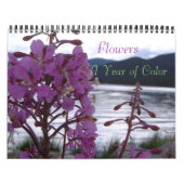 Blumen, ein Jahr der Farbe Kalender (Titelbild)