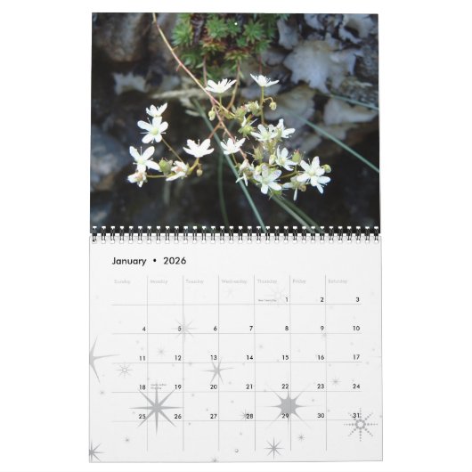Blumen, ein Jahr der Farbe Kalender (Jan 2026)