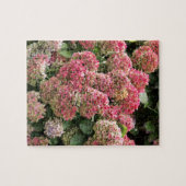 Blumen eines Franzosen Hydrangea (Hydrangea Puzzle (Horizontal)
