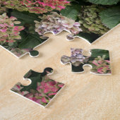 Blumen eines Franzosen Hydrangea (Hydrangea Puzzle (Seite)