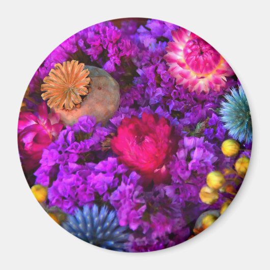 Blumen fallen lila-blaurosa Goldblume Magnet (Vorne)