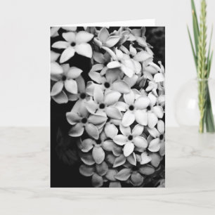 Blumen Feiertagskarte