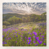 Blumen | Flinders Ranges Australien Glasuntersetzer (Vorderseite)