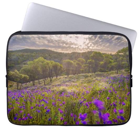 Blumen | Flinders Ranges Australien Laptopschutzhülle (Vorderseite)