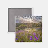Blumen | Flinders Ranges Australien Magnet (Vorderseite/Rückseite)