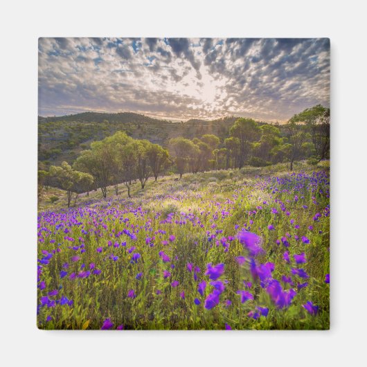 Blumen | Flinders Ranges Australien Magnet (Vorne)