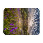 Blumen | Flinders Ranges Australien Magnet (Horizontal)