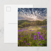 Blumen | Flinders Ranges Australien Postkarte (Vorne/Hinten)