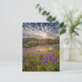 Blumen | Flinders Ranges Australien Postkarte (Stehend Vorderseite)