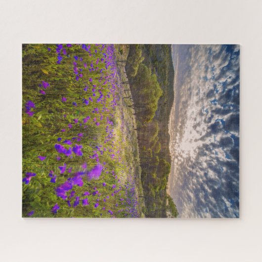 Blumen | Flinders Ranges Australien Puzzle (Horizontal)