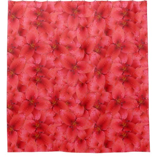 Blumen-Foto-rote Garten-Lilien Duschvorhang (Vorderseite)