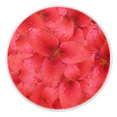 Blumen-Foto-rote Garten-Lilien Keramikknauf (Vorderseite)