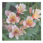 Blumen-Foto-Würfel Würfel (Rechts)