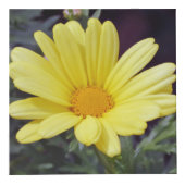 Blumen-Foto-Würfel Würfel (Vorderseite)