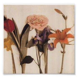 Blumen Fotodruck