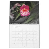 Blumen-Fotografie-Kalender 2010 Kalender (Feb 2027)