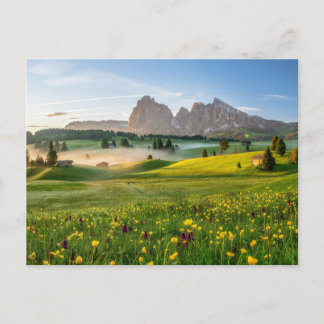 Blumen | Frühjahrsalpe di Siusi Langkofel Postkarte