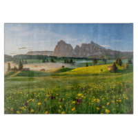 Blumen | Frühjahrsalpe di Siusi Langkofel