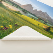 Blumen | Frühjahrsalpe di Siusi Langkofel Sherpadecke (3/4)