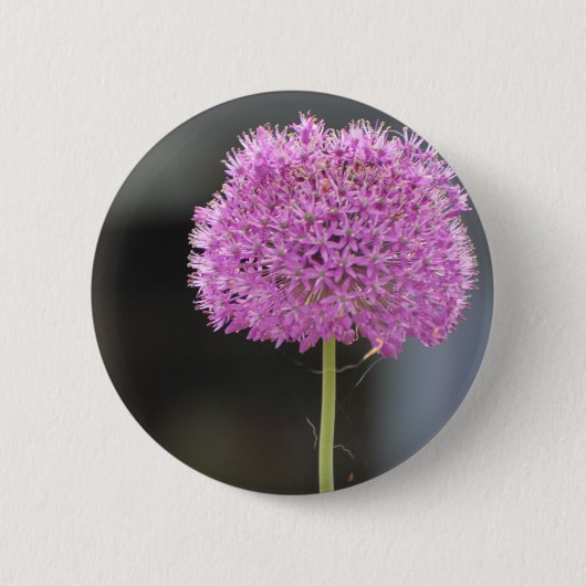 Blumen für Alle Button (Vorderseite)