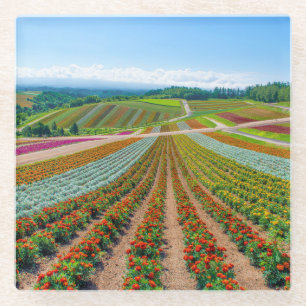 Blumen-Garten Shikisai kein Oka Blumen-Bauernhof Glasuntersetzer