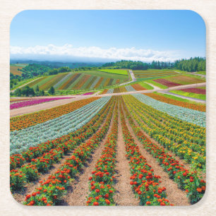 Blumen-Garten   Shikisai kein Oka Blumen-Bauernhof Rechteckiger Pappuntersetzer