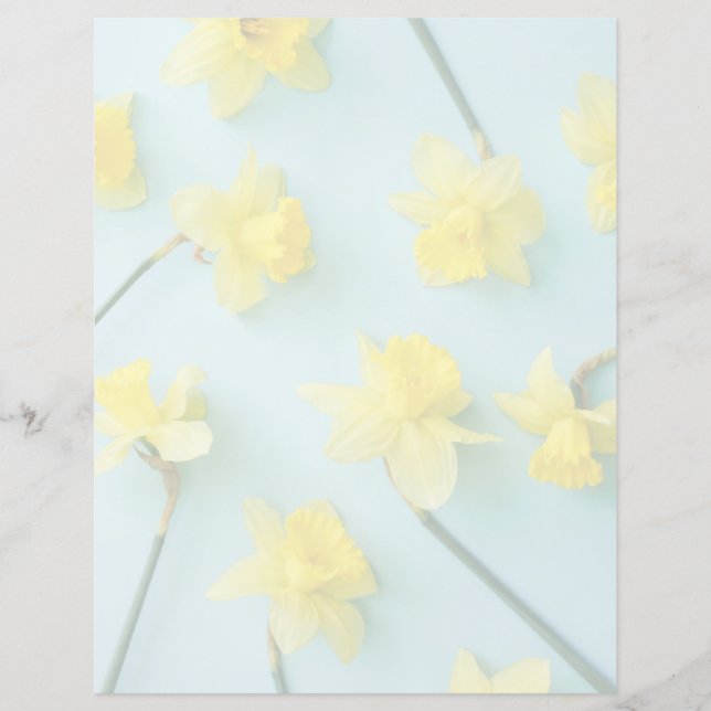 Blumen | Gelbe Daffodien (Vorderseite)