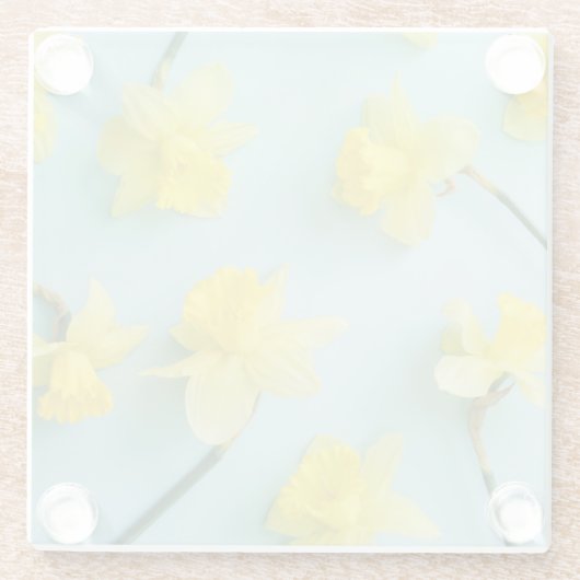 Blumen | Gelbe Daffodien Glasuntersetzer (Rückseite)