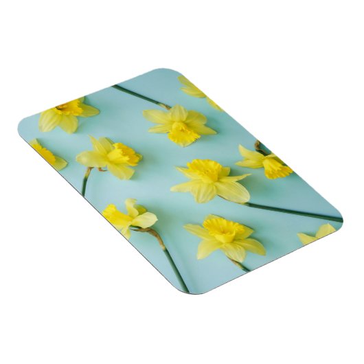 Blumen | Gelbe Daffodien Magnet (Rechte Seite)