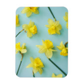 Blumen | Gelbe Daffodien Magnet (Vertikal)